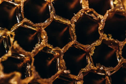 close up of beehive