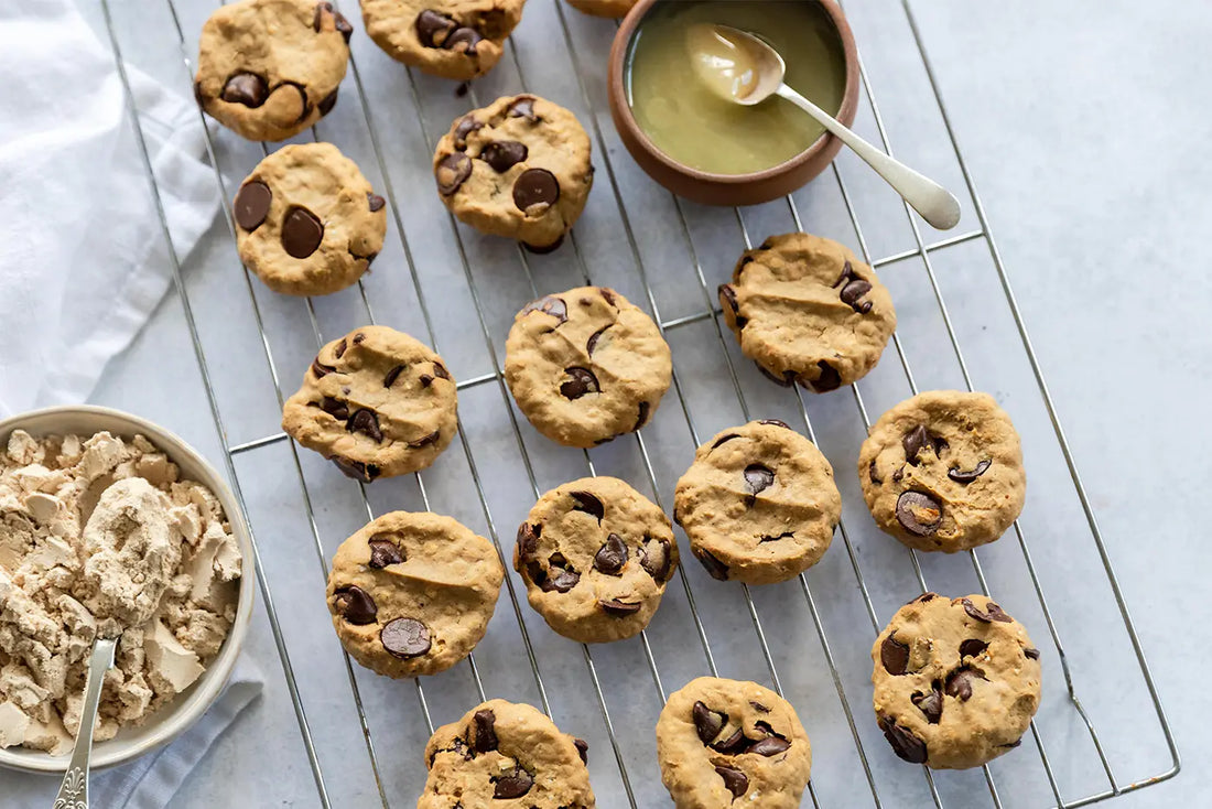 Taylor Pass Honey Chocolate Chip Protein Cookies