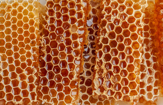 honeycomb close up