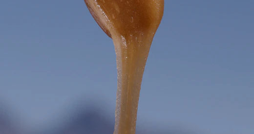 close up honey dripping off spoon